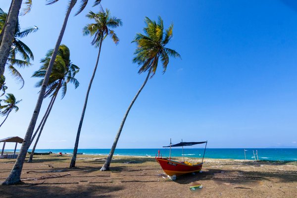 Partir à varsovie en amoureux : magie hivernale et romance