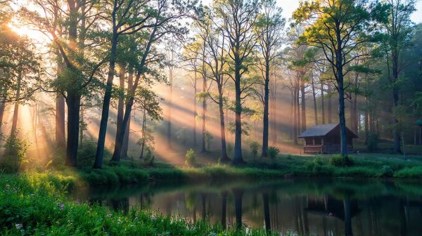 Top destinations pour un séjour de camping de luxe en nature