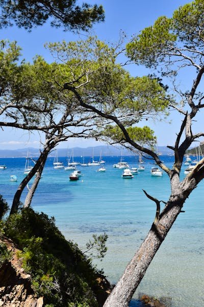 Horaires de bateau pour porquerolles : infos essentielles pour votre voyage